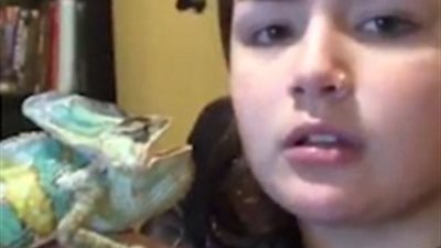 حرباء تهاجم صاحبتها أمام الكاميرا (فيديو وصور)