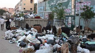 برلماني يطالب بالاستفادة من التجارب السابقة لحل مشكلة القمامة