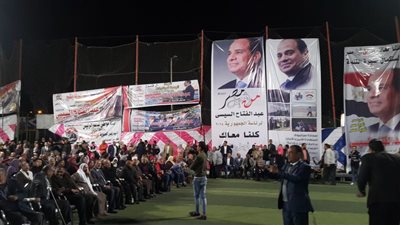 تفاصيل حملات دعم السيسي بـ3 محافظات (صور)