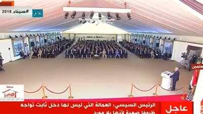 السيسي: نعمل على إدخال العمالة المؤقتة تحت مظلة التأمين الصحي