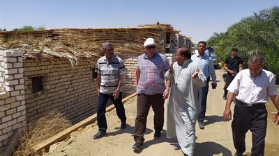 مشروع زراعي جديد على مساحة 200 فدان في الوادى الجديد (صور)