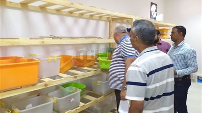 10 ملايين جنيه تكلفة مزرعة إنتاج سم العقرب على مساحة 200 فدان بالوادي الجديد
