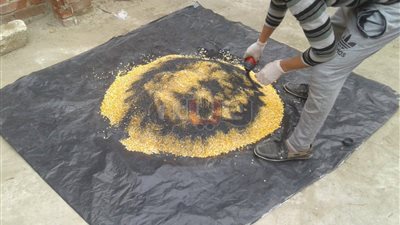 زراعة البحيرة تشن حملة لمكافحة قوارض المحاصيل الشتوية (صور)