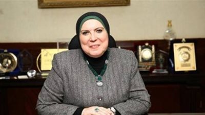 نيفين جامع: تعريف موحد للمشروعات الصغيرة في القانون الجديد