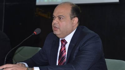 محافظ مطروح يستعرض المشروعات القومية أمام السيسي