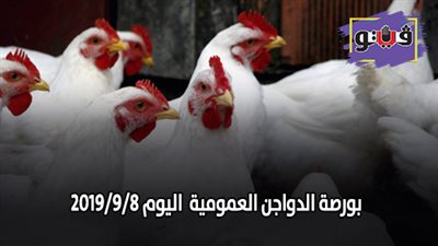 بورصة الدواجن العمومية.. اسعار الدواجن اليوم 2019/9/8