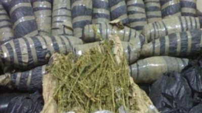 ضبط 250 كيلو بانجو داخل محزن في الإسماعيلية