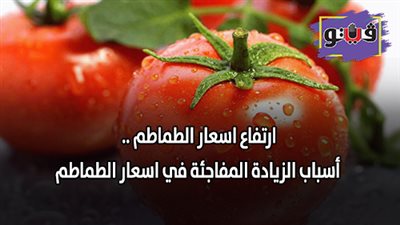 ارتفاع اسعار الطماطم .. أسباب الزيادة المفاجئة في اسعار الطماطم