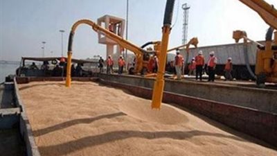 رويترز: صادرات القمح الأوروبية في مأزق بعد فقد صفقات مصرية