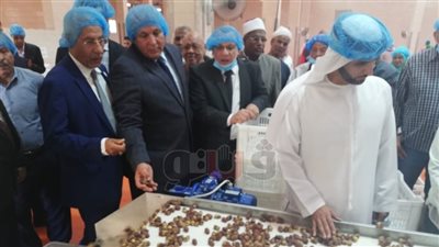 الوادي الجديد تبدأ التشغيل التجريبي لأكبر مجمع تمور بتكلفة 14 مليون جنيه