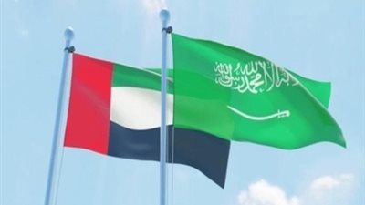السعودية والإمارات تؤكدان وقف النشاطات العسكرية جنوب اليمن