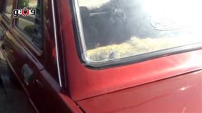 بالفيديو.. انخفاض أسعار فيات 