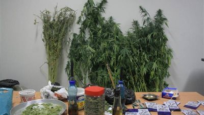 إحباط تهريب كمية من الماريجوانا داخل ماكينة «غزل بنات» في المطار