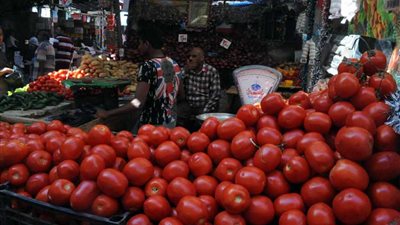 تجارية القاهرة تكشف موعد انخفاض أسعار الطماطم في الأسواق