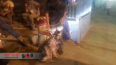 تشديدات أمنية مع بدء فعاليات معرض الكتاب بـ«فيصل»