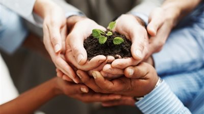 تعرف على تغطيات وضوابط وثيقة تأمين المشروعات المتناهية الصغر