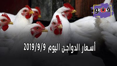 أسعار الدواجن اليوم في مصر.. أسعار الدواجن اليوم 2019/9/9