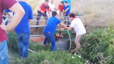 لحظة هجوم ثور هائج على المتفرجين (فيديو)