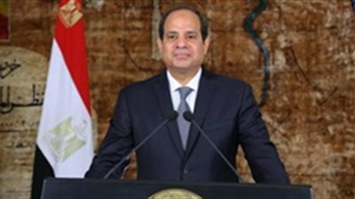السيسي يؤكد اهتمام الدولة بقطاع المشروعات الصغيرة