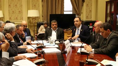 9 صور ترصد اجتماعات اللجان النوعية داخل البرلمان في أسبوع