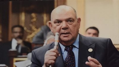 منسق حملة معاك من أجل مصر: نستعد لتنظيم مؤتمرات حاشدة لدعم السيسي