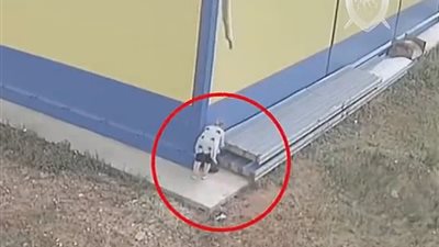 لقطات صادمة لأم تتخلى عن رضيعها وتتركه في كيس بلاستيك أمام سوبر ماركت (فيديو وصور)