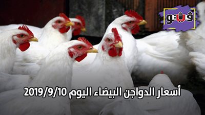 أسعار الدواجن البيضاء اليوم 2019/9/10