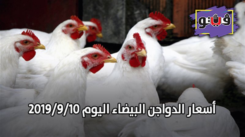  أسعار الدواجن البيضاء