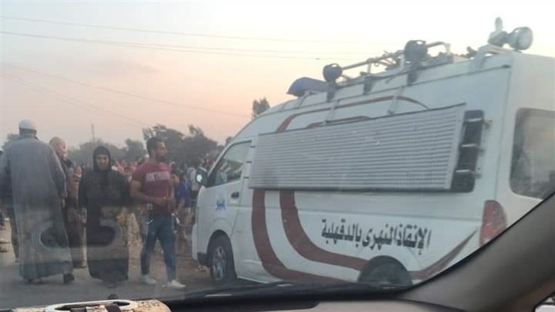 فيتو