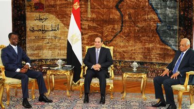 السيسي يستقبل رئيس برلمان عموم أفريقيا.. يبحث مواجهة التحديات وتهيئة المناخ السياسي لتحقيق التنمية.. ويؤكد أولوية البعد الأفريقي في السياسية الخارجية المصرية والانفتاح على الأشقاء الأفارقة