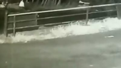 لحظة سقوط رضيعة من سيارة عائلتها في غابة (فيديو)