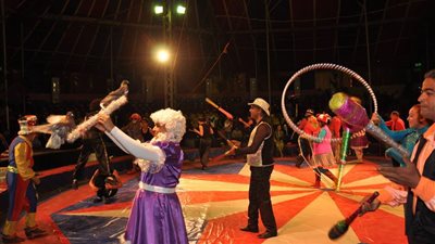 الثعابين والمهرج ضمن عروض السيرك بالسيدة زينب