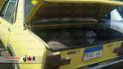 بالصور.. استقرار أسعار فيات 