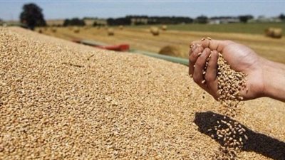 تونس تشتري 67 ألف طن قمح و50 ألف طن شعير