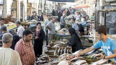 تفاصيل أزمة سوق السمك بالجيزة.. «المالية» ترفع الإيجار بنسبة 75%.. التجار يمتنعون عن الدفع منذ ثورة يناير.. ورئيس حي جنوب: الباعة رفضوا كل الحلول وطردهم يسبب كارثة