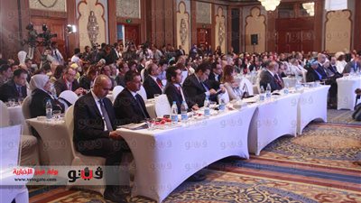 بالصور.. تيناوي: 