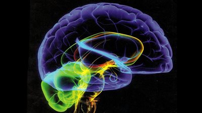 علماء في طريقهم لابتكار أطراف صناعية تعمل بإشارات من المخ