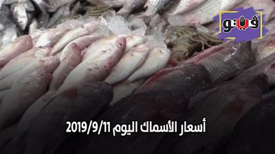 اسعار الأسماك اليوم 2019/9/11.. البوري يسجل 30 جنيها