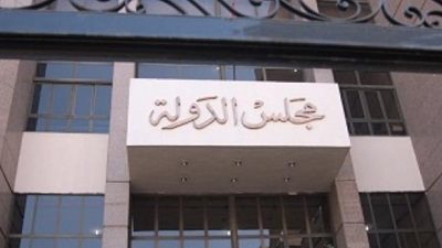 غدًا.. نظر دعوى بطلان قرار 