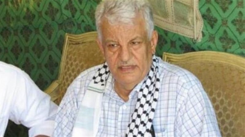 جمال الشوبكي، السفير