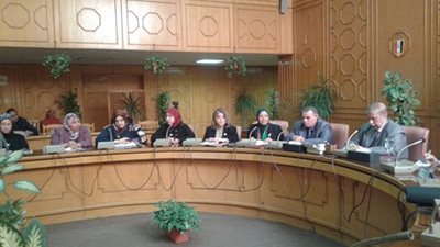 محافظ الإسماعيلية يستعرض ظاهرة ارتفاع نسبة الطلاق (فيديو)