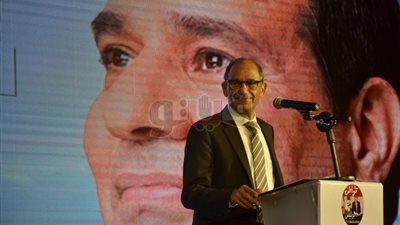 «مواطن» تخاطب المصريين بالخارج بالإنجليزية والفرنسية لتأييد السيسي