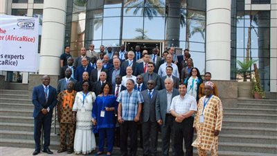 القاهرة تستضيف اجتماع مركز الأرز الأفريقى لخبراء الزراعة من 27 دولة أفريقية