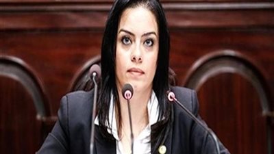 سيلفيا نبيل: اجتماعات 