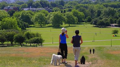 دراسة بريطانية: المشي 20 دقيقة يوميا يحميك من الزهايمر