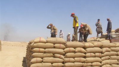 سوريا: شحنة القمح الموردة للعراق عالقة في صوامع الحسكة