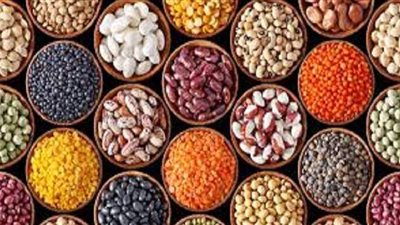 أسعار البقوليات اليوم السبت 2021/1/2