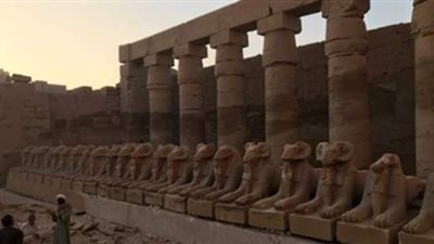 الآثار: كباش الأقصر عانت من الانهيار وفقدت أجزاء منها بسبب عمليات ترميم خاطئة