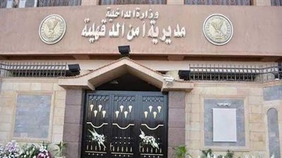 اعترافات عاطلين بقتل طالب في المنصورة: كنا تحت تأثير الكحول