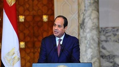 السيسي يكلف بالحفاظ على انتهاج المسار المتوازن للدولة خلال الموجة الأولى لكورونا